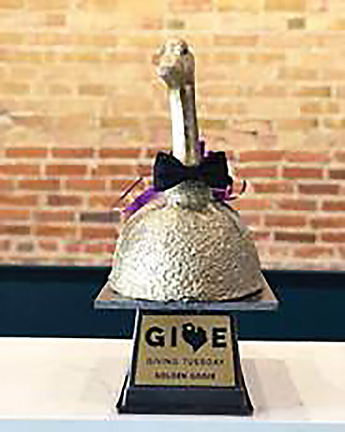 Golden Goose up for grabs on Giving Tuesday News, Sports, Jobs The